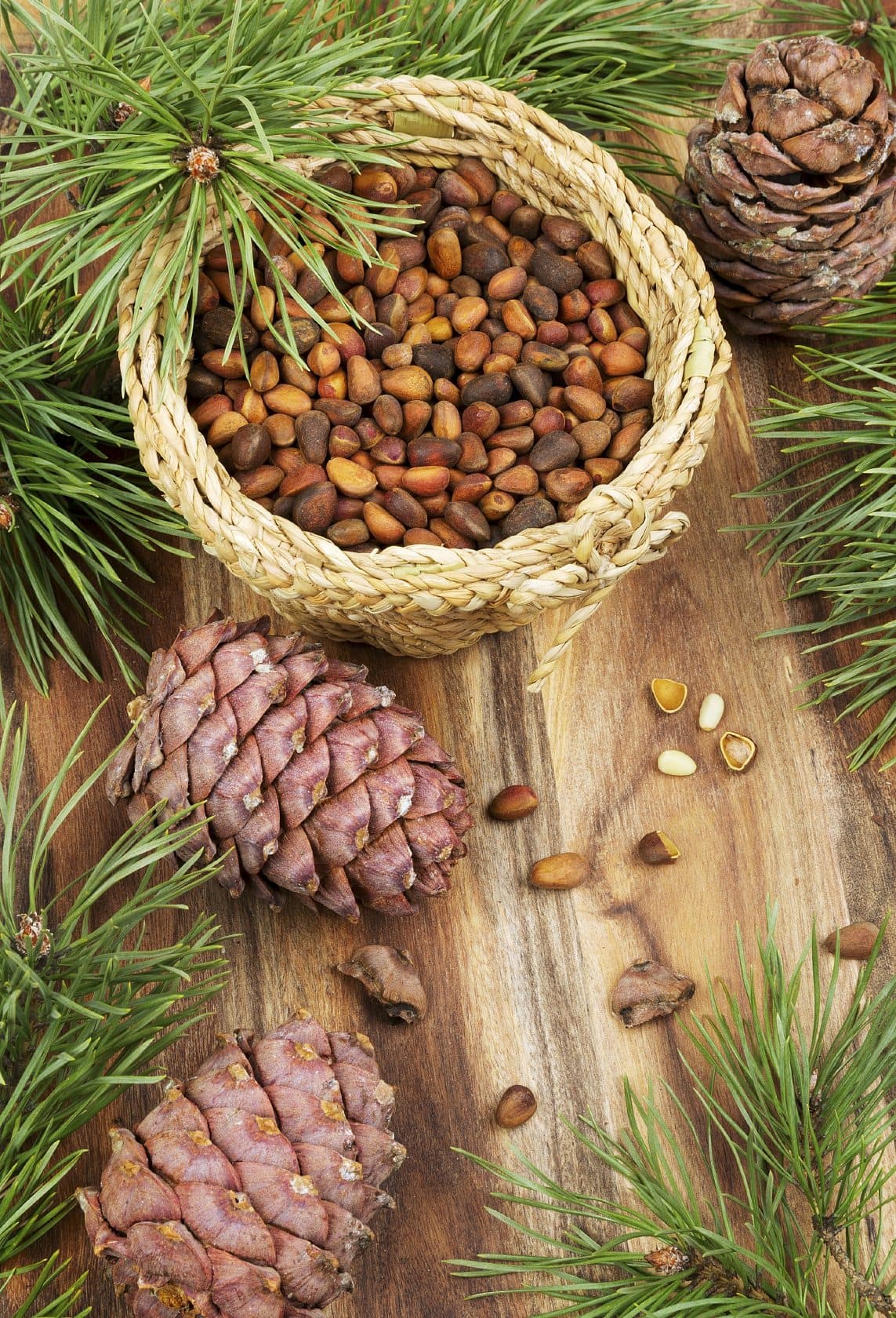 Pine Nut Kernels