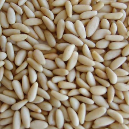 Pinenut Kernels – Value Pack